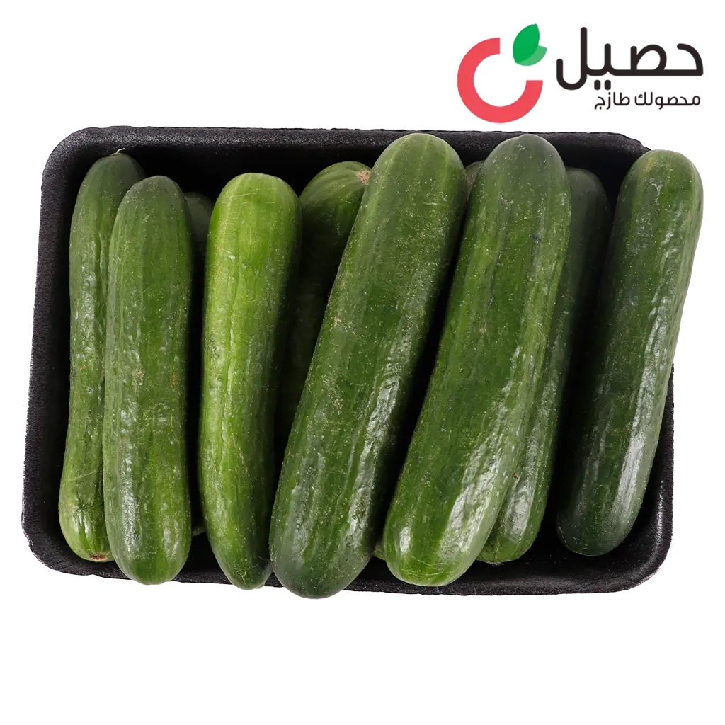 حصيل خيار 1 كجم - view 3