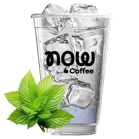 Ice Cube Mohito With Mojito Flavor
