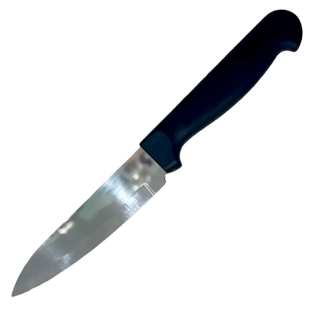 Steel Fruit and Vegetable Knife Hand No 4 - view 1