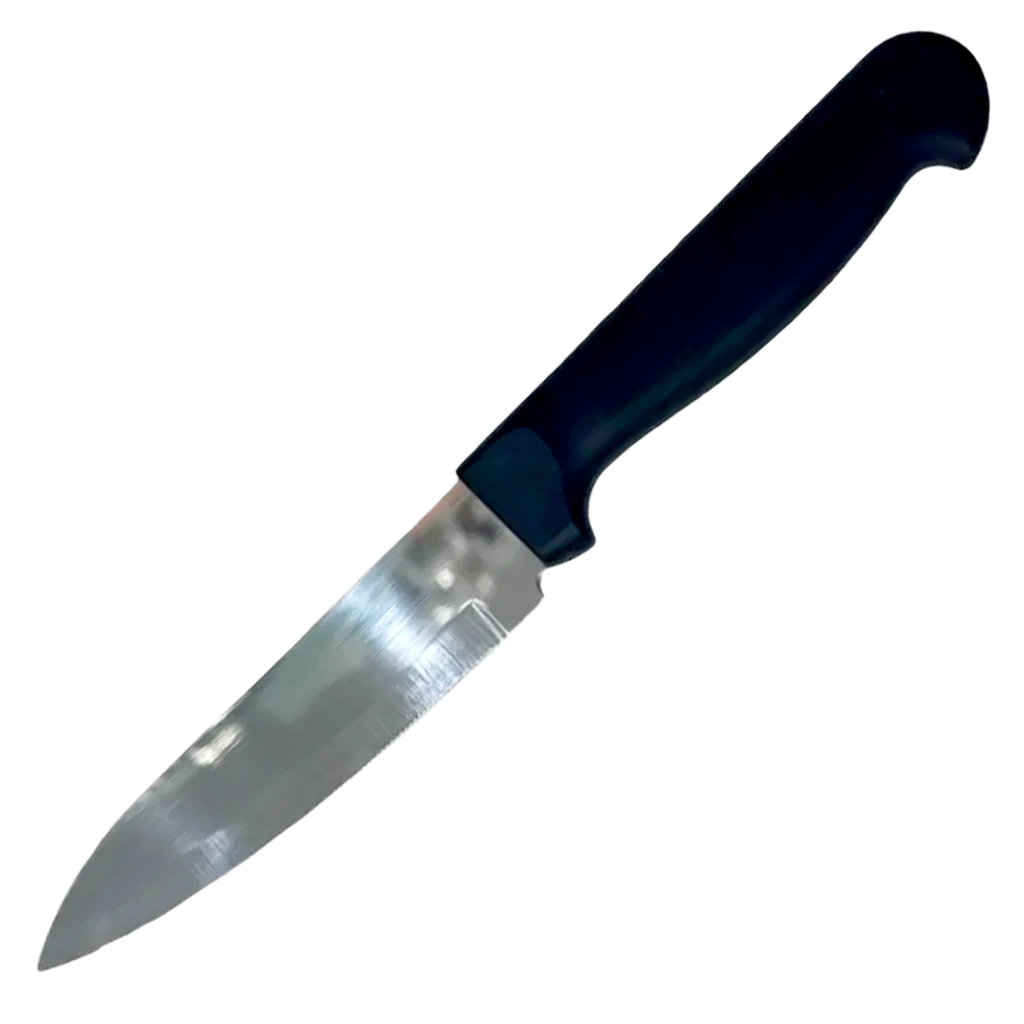 Steel Fruit and Vegetable Knife Hand No 4