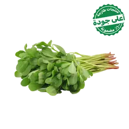 Purslane Local 1 Bundle 