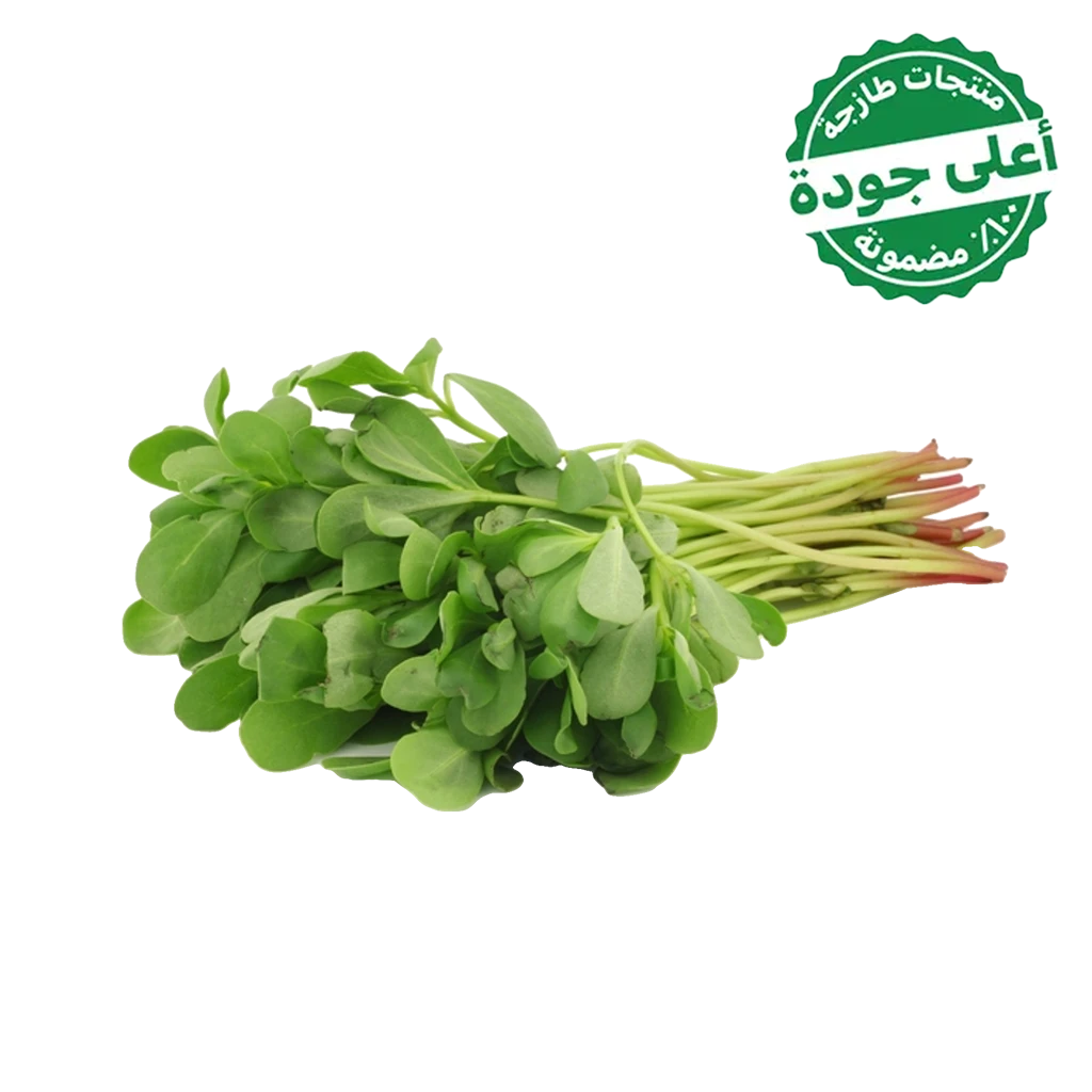 Purslane Local 1 Bundle 