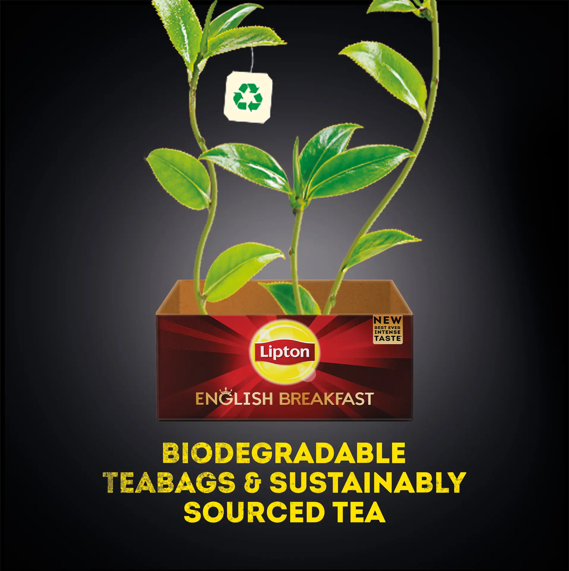Lipton Speciality Tea EngrBreakfast 25 Tea Bags - view 3