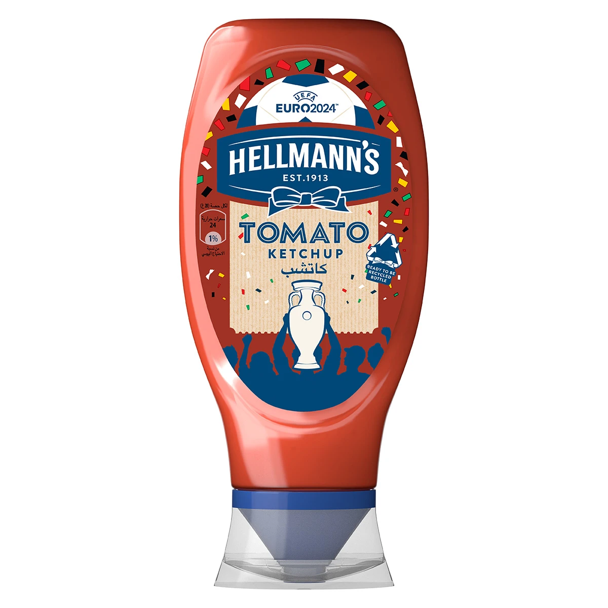 Hellmanns Tomato Ketchup 500 gm 