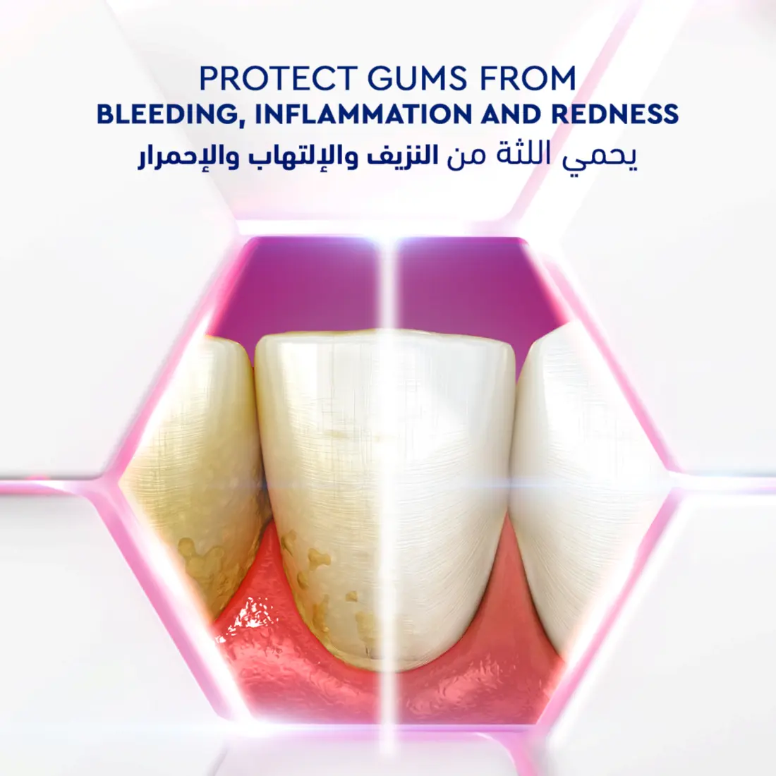 Signal Gum Expert Toothpaste Fresh 75ml - view 5