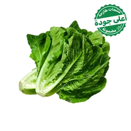 Romaine Lettuce Local 1 pcs 