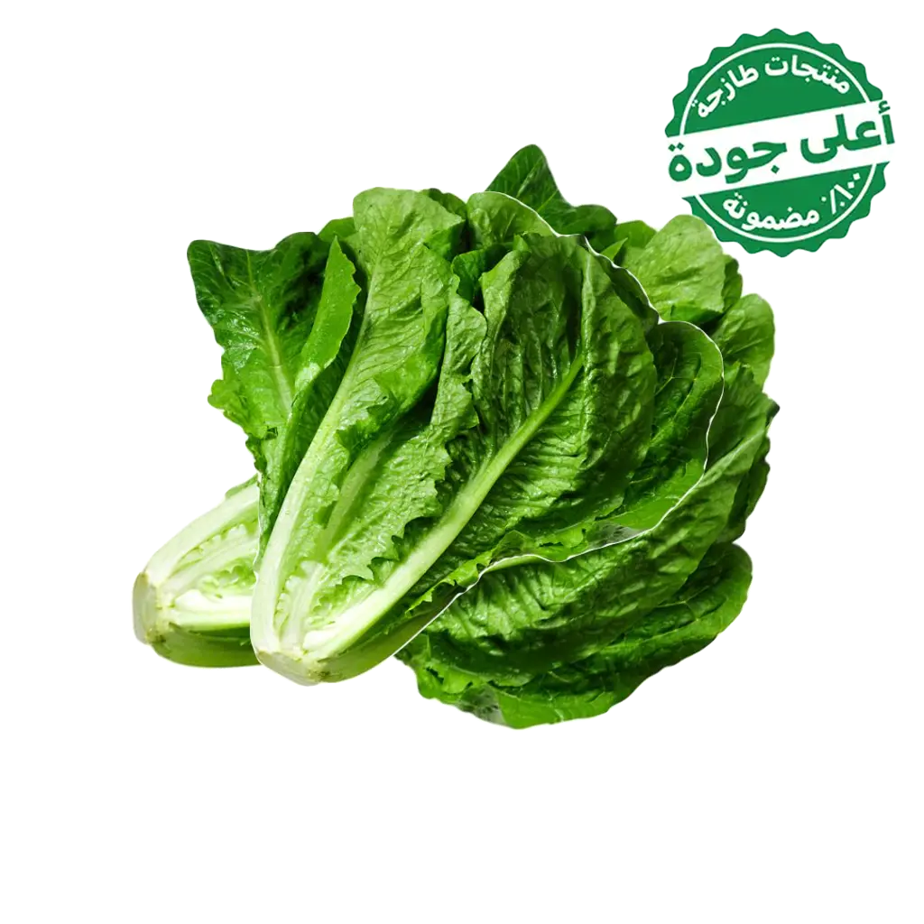 Romaine Lettuce Local 1 pcs  - view 1