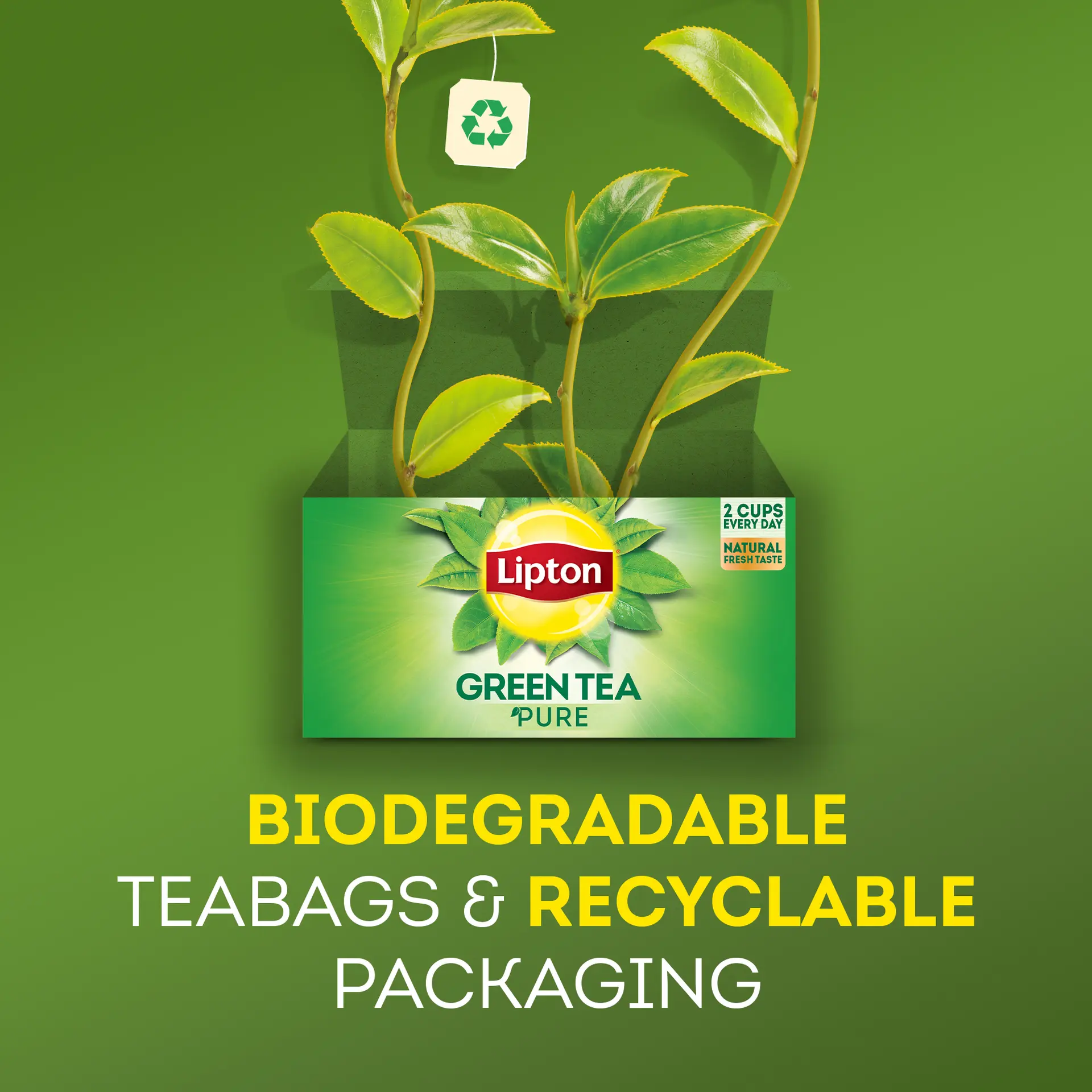 Lipton Green Tea Pure 50 Tea Bags - view 5