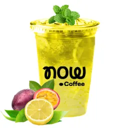 موهيتو باشن فروت