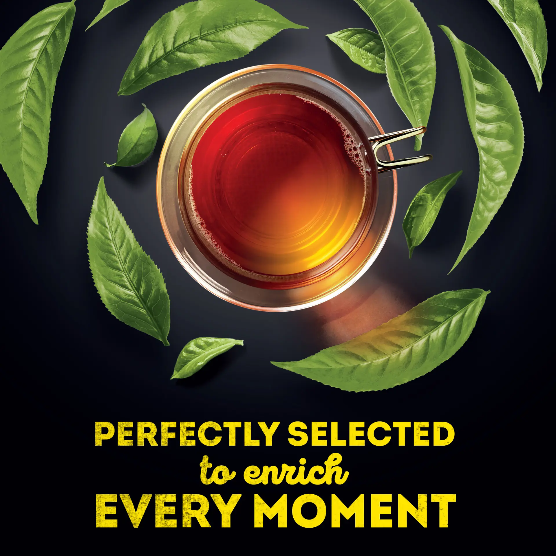 Lipton Speciality Tea EngrBreakfast 25 Tea Bags - view 4