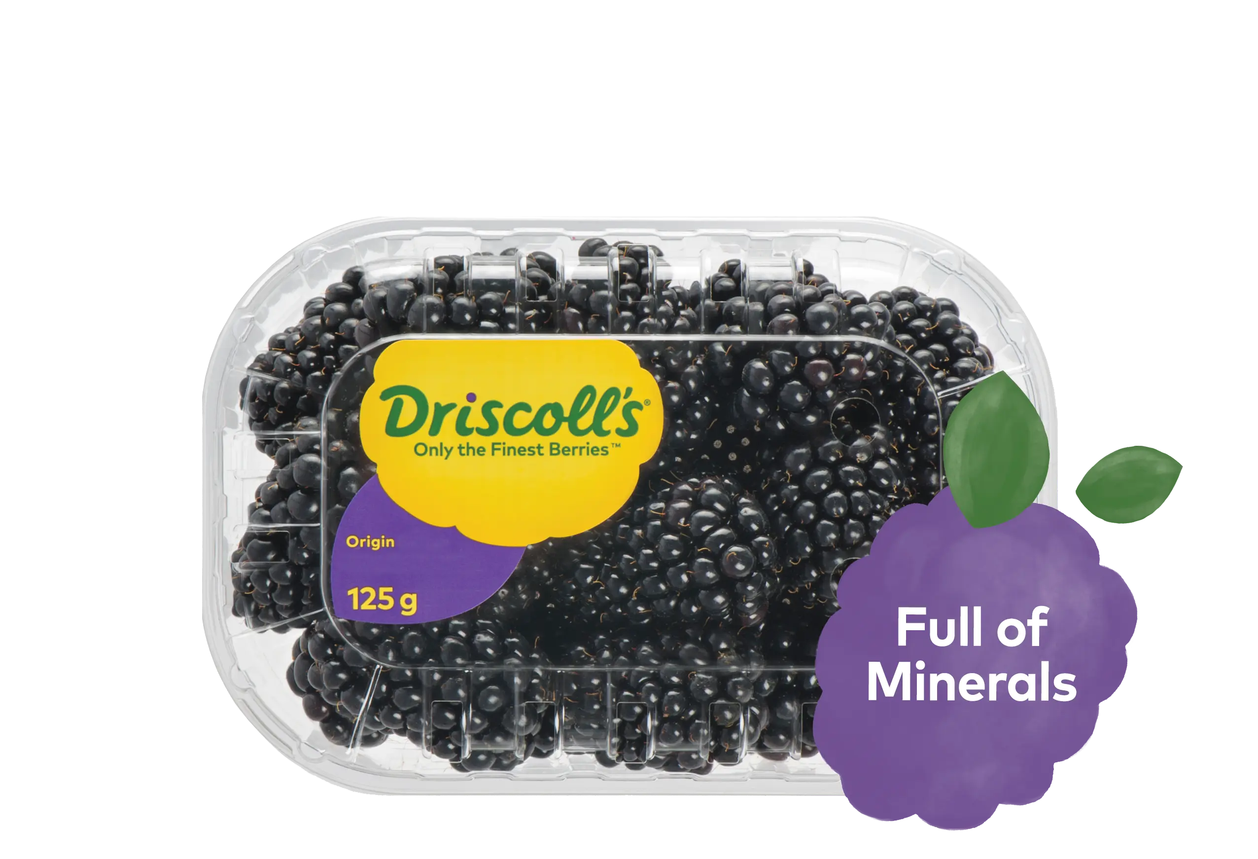 Driscolls Blackberries 125 gm approximately - view 3
