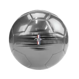 Mustang Football Silver Metallic Color Not Inflated with Air 5 inch