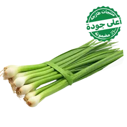 Green Onion Local 1 Bundle 