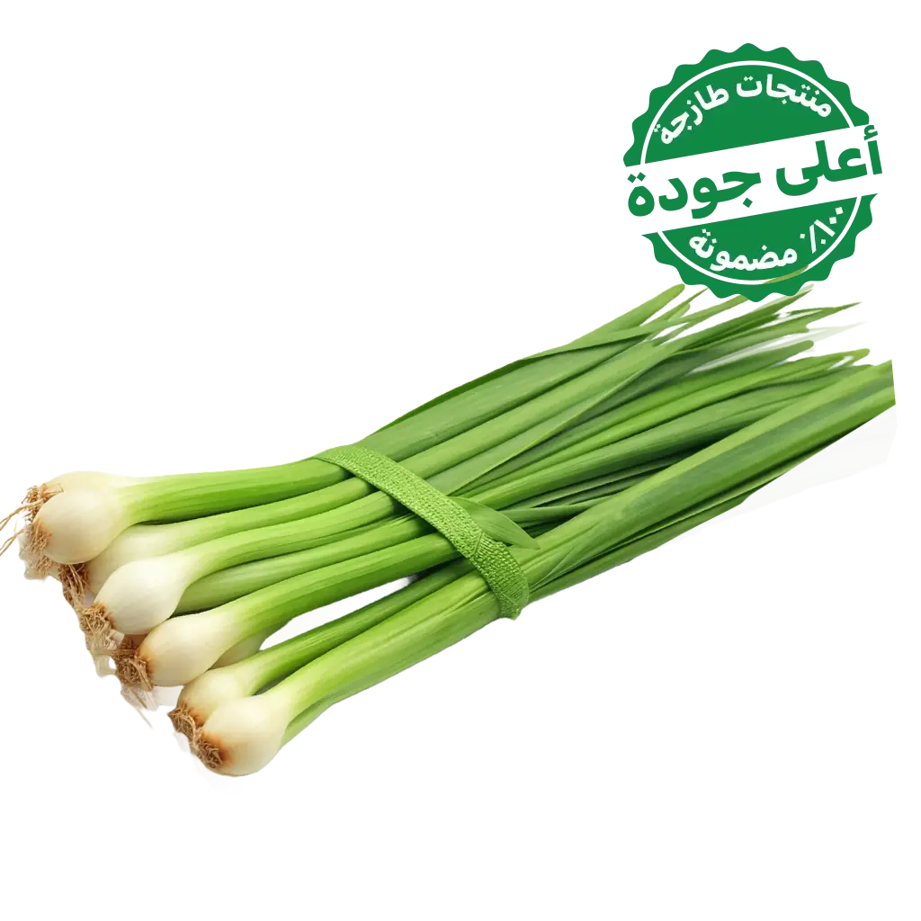 Green Onion Local 1 Bundle  - view 1