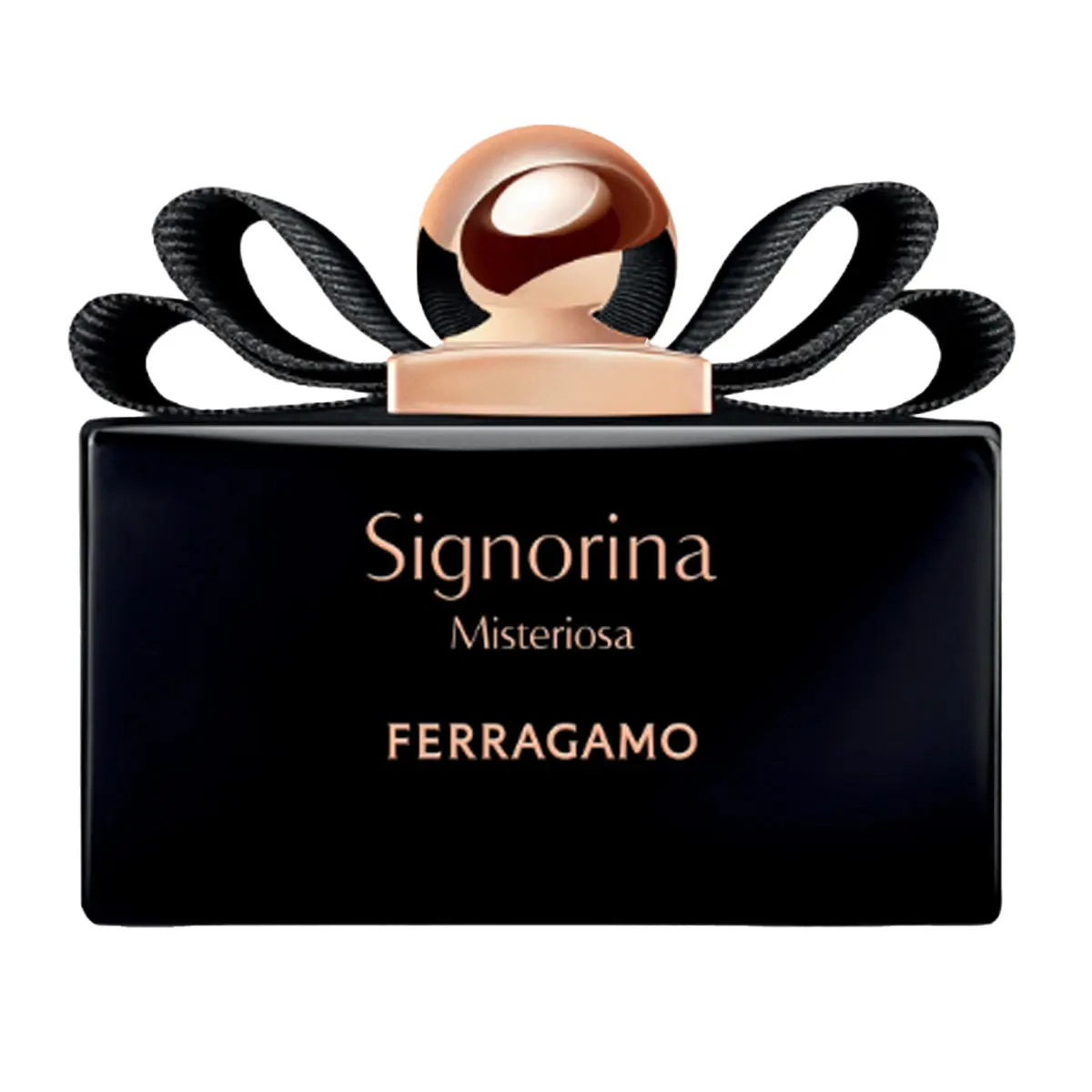  Ferragamo Signorina Misteriosa For Women EDP 100 ml - view 1