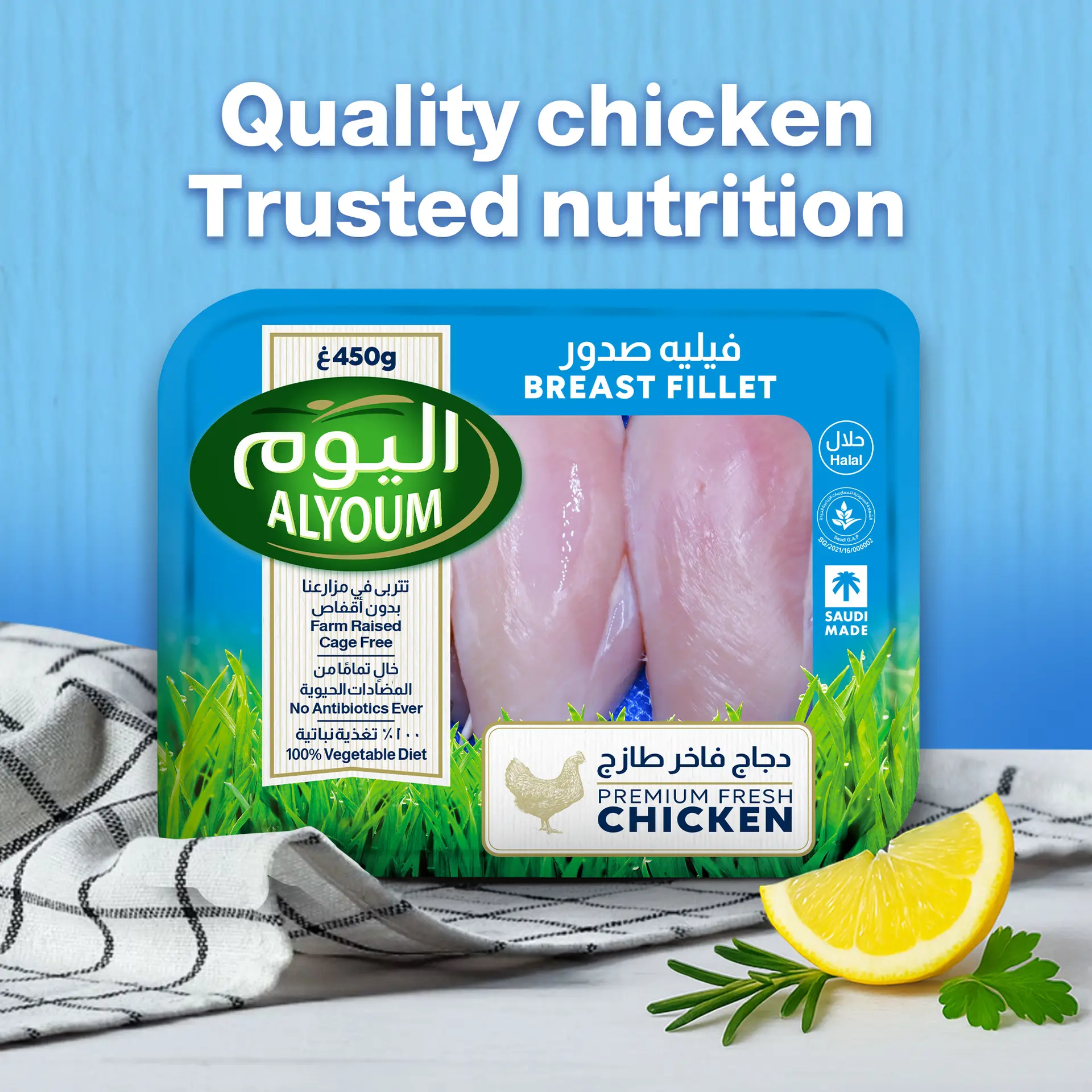 Alyoum Chicken Breast Fillet 450 gm - view 2