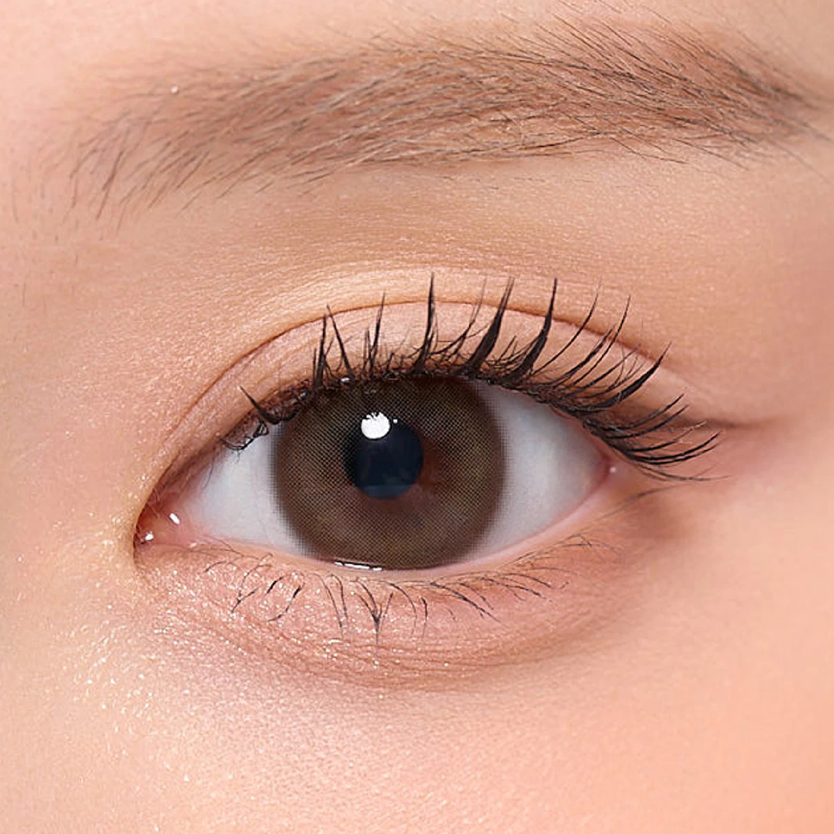Lensme Korea Style Contact Lenses Elegant