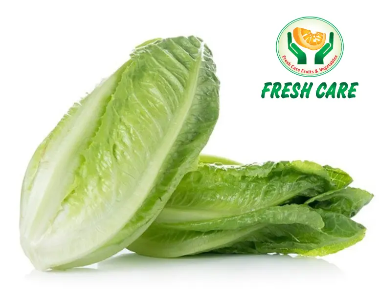 F.C Lettuce Long Approx 400 Gm - view 1