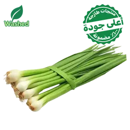 Washed Green Onion 1 Bundle