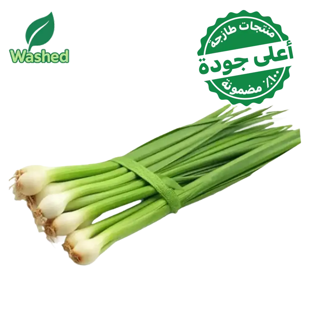 Washed Green Onion 1 Bundle - view 1