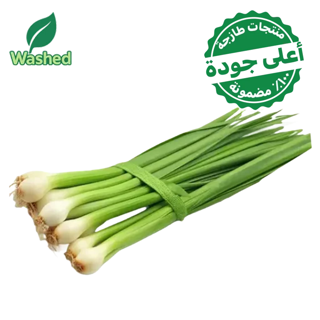Washed Green Onion 1 Bundle
