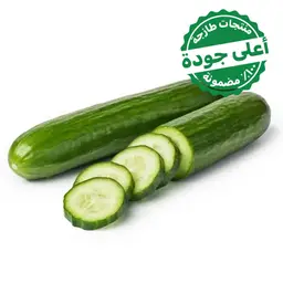 Cucumber Hydroponic 500 gm approximately