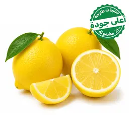 Lemon Imported 500 gm approximately