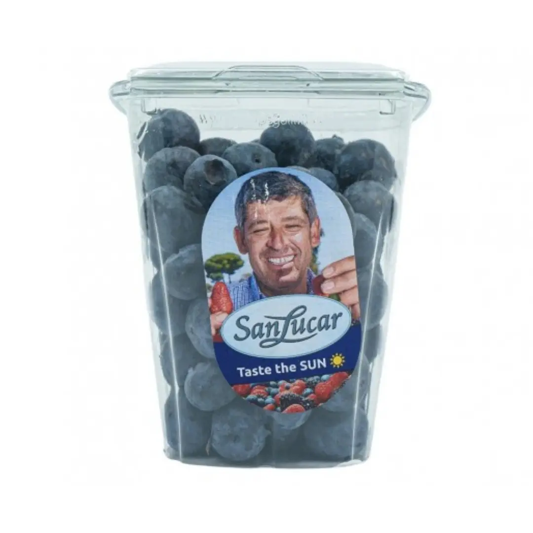Blueberry Shaker Morocco Approx 225 gm - view 1