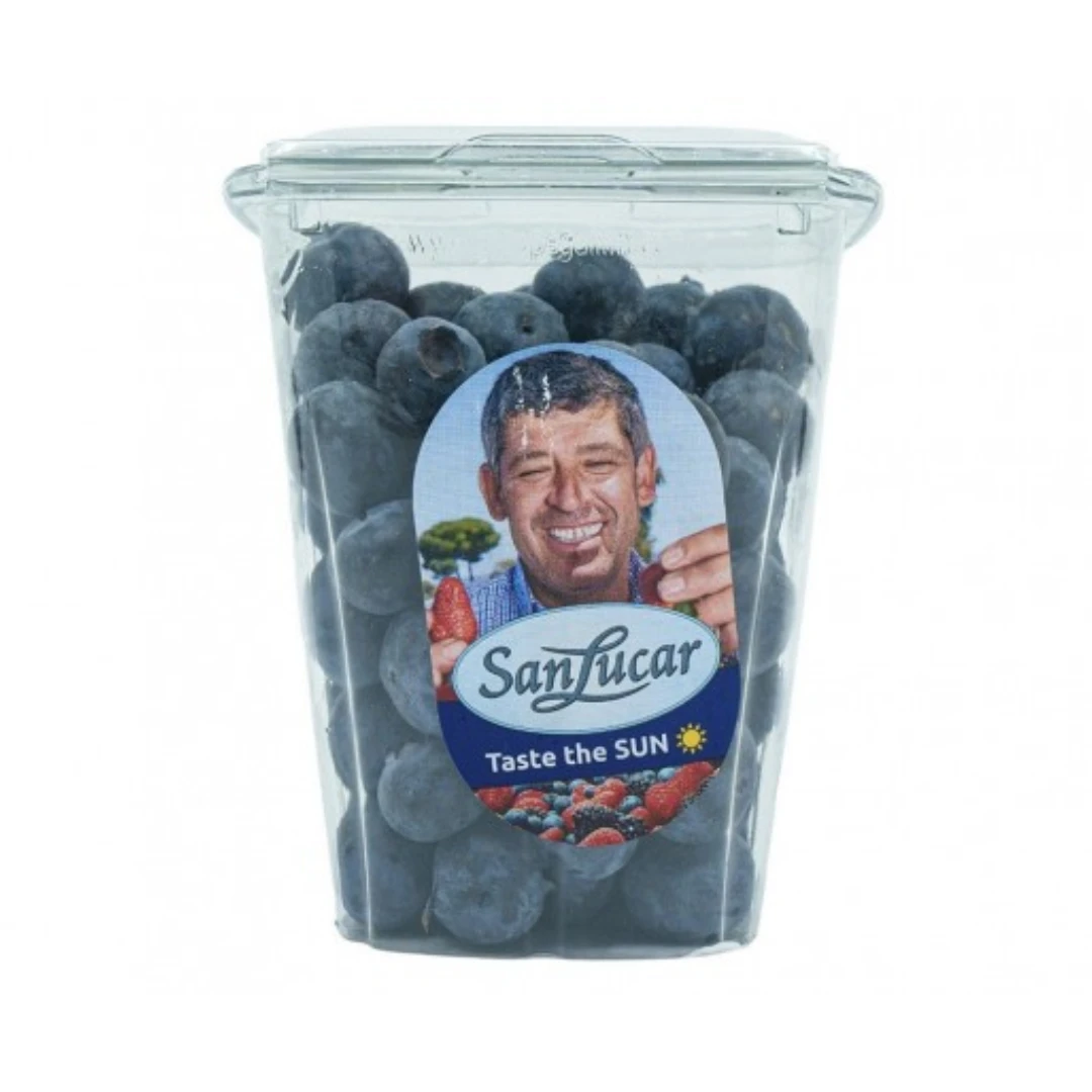 Blueberry Shaker Morocco Approx 225 gm