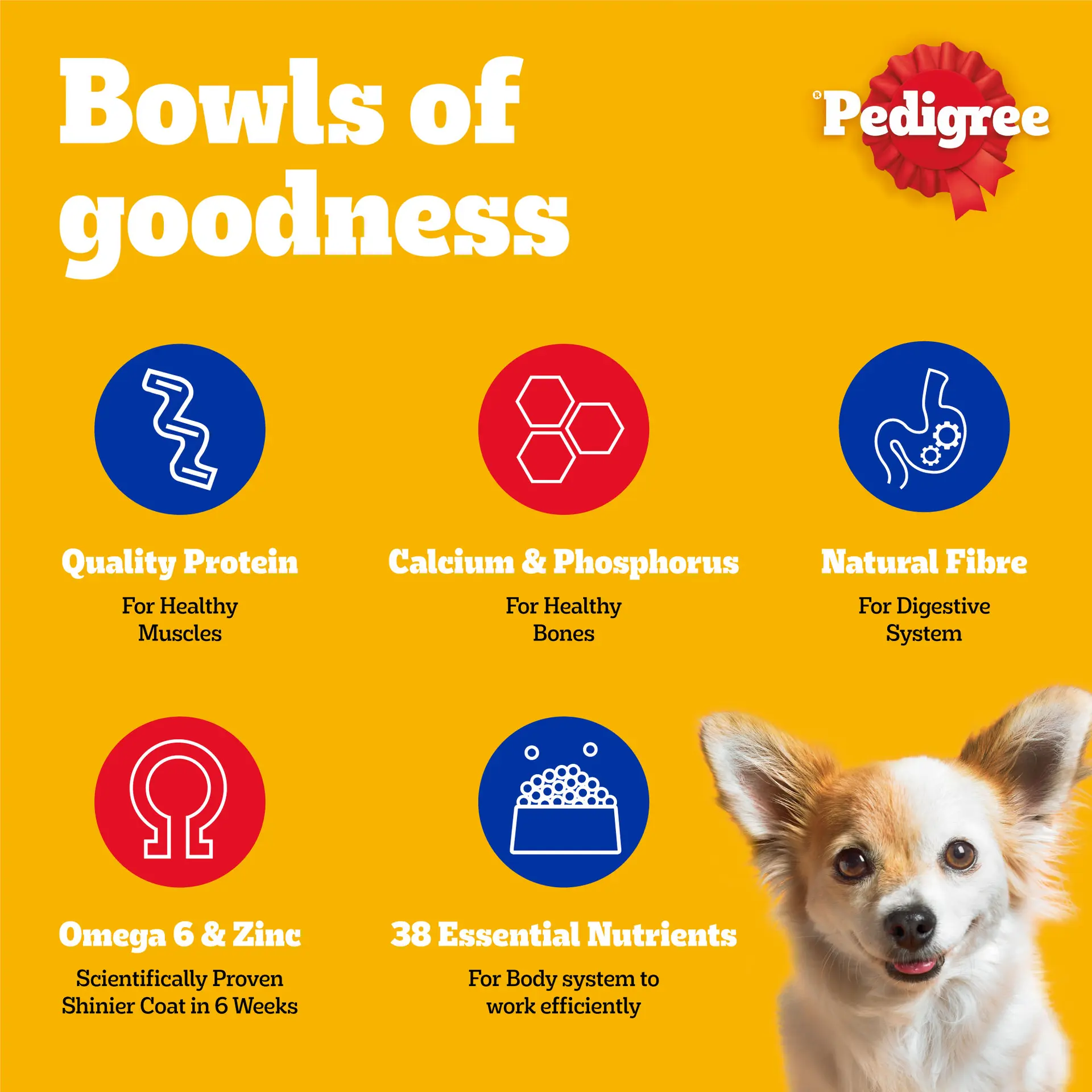 Pedigree Dry Food for Dogs Mini Beef Lamb Vegetables1.5 kg - view 10