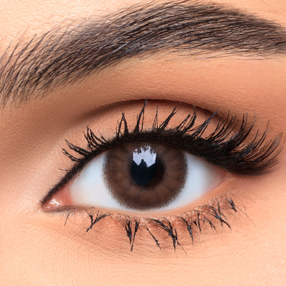 Afle Daily  Contact Lenses Blonde
