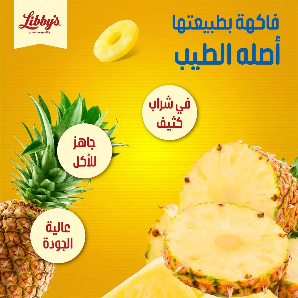 ليبيز أناناس شرائح 570 جم - view 4