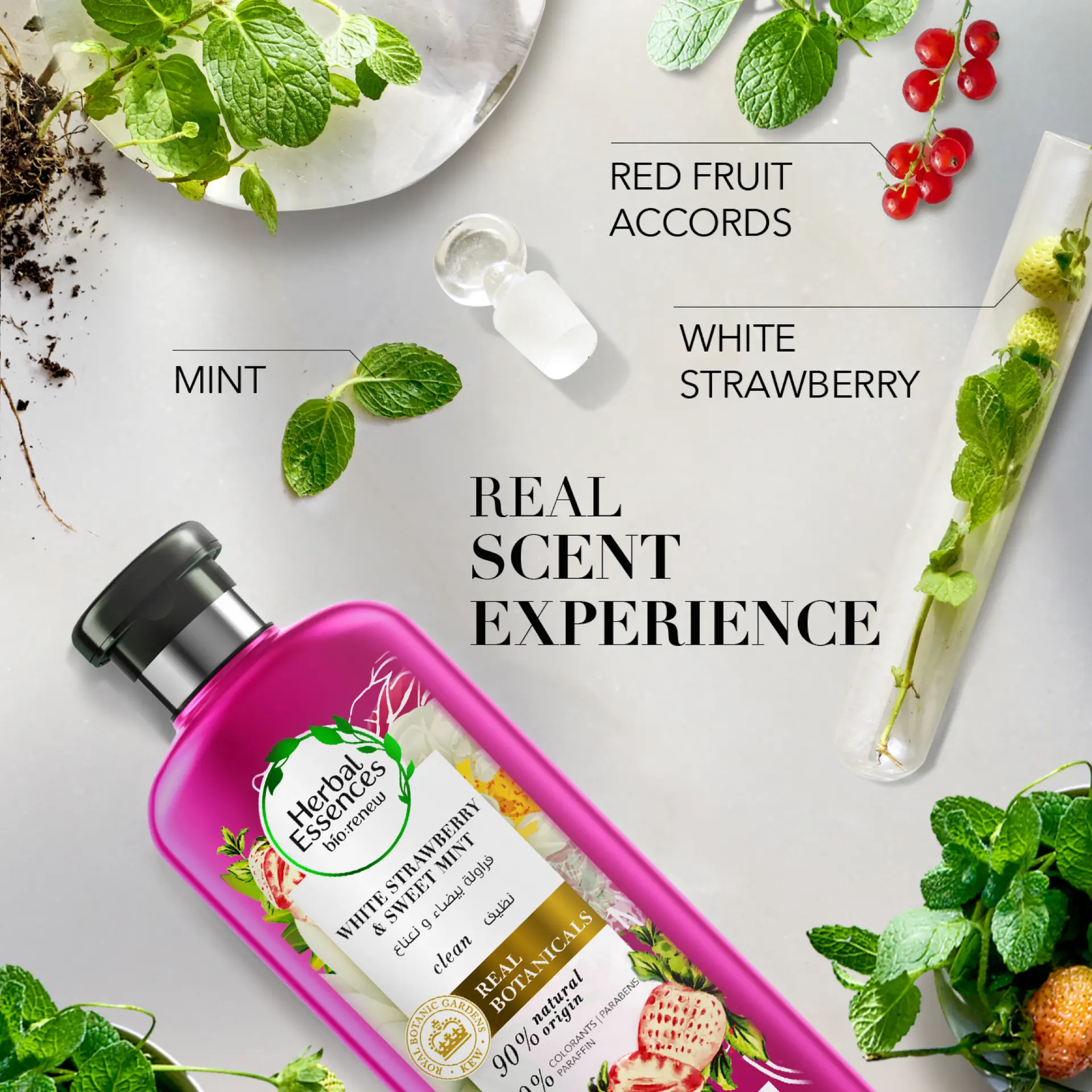 Herbal Essences Bio:Renew White Strawberry & Mint Conditioner 400 ml - view 3