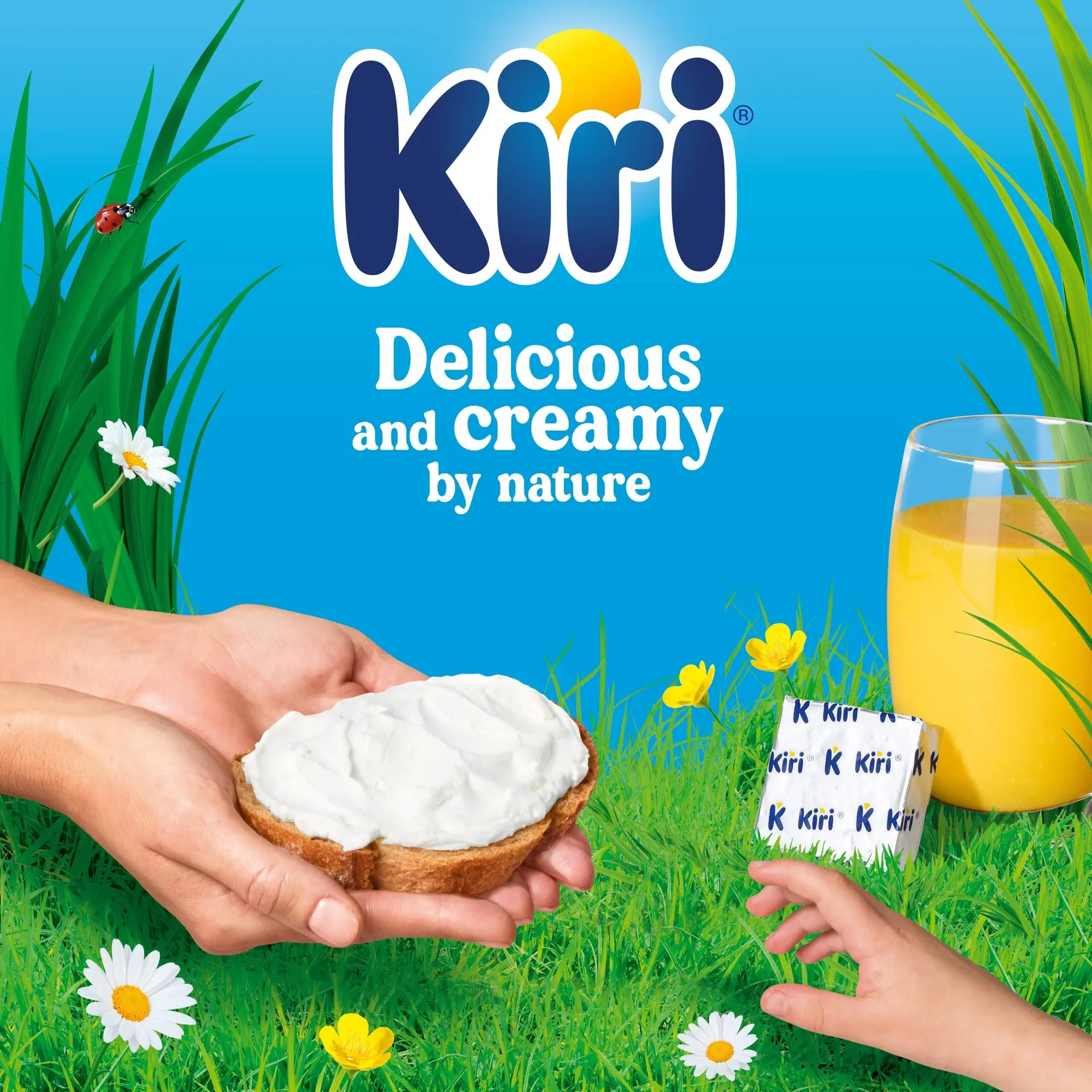 Kiri Spreadable Squares Cream Cheese 24 pcs 400 gm - view 4