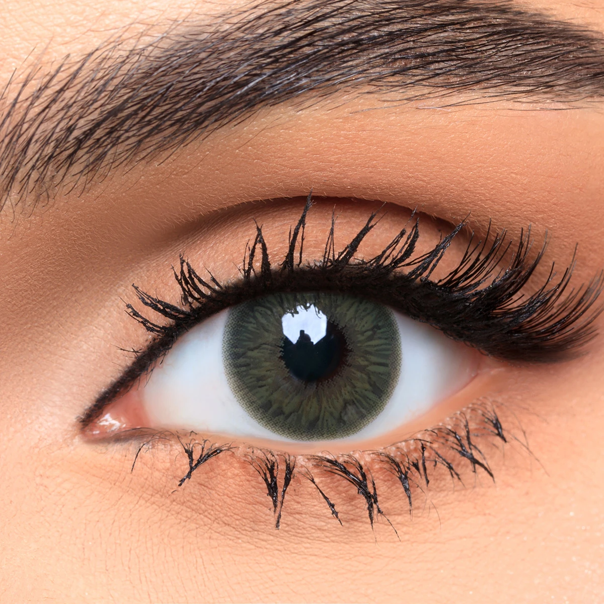 Afle Daily  Contact Lenses Emerald