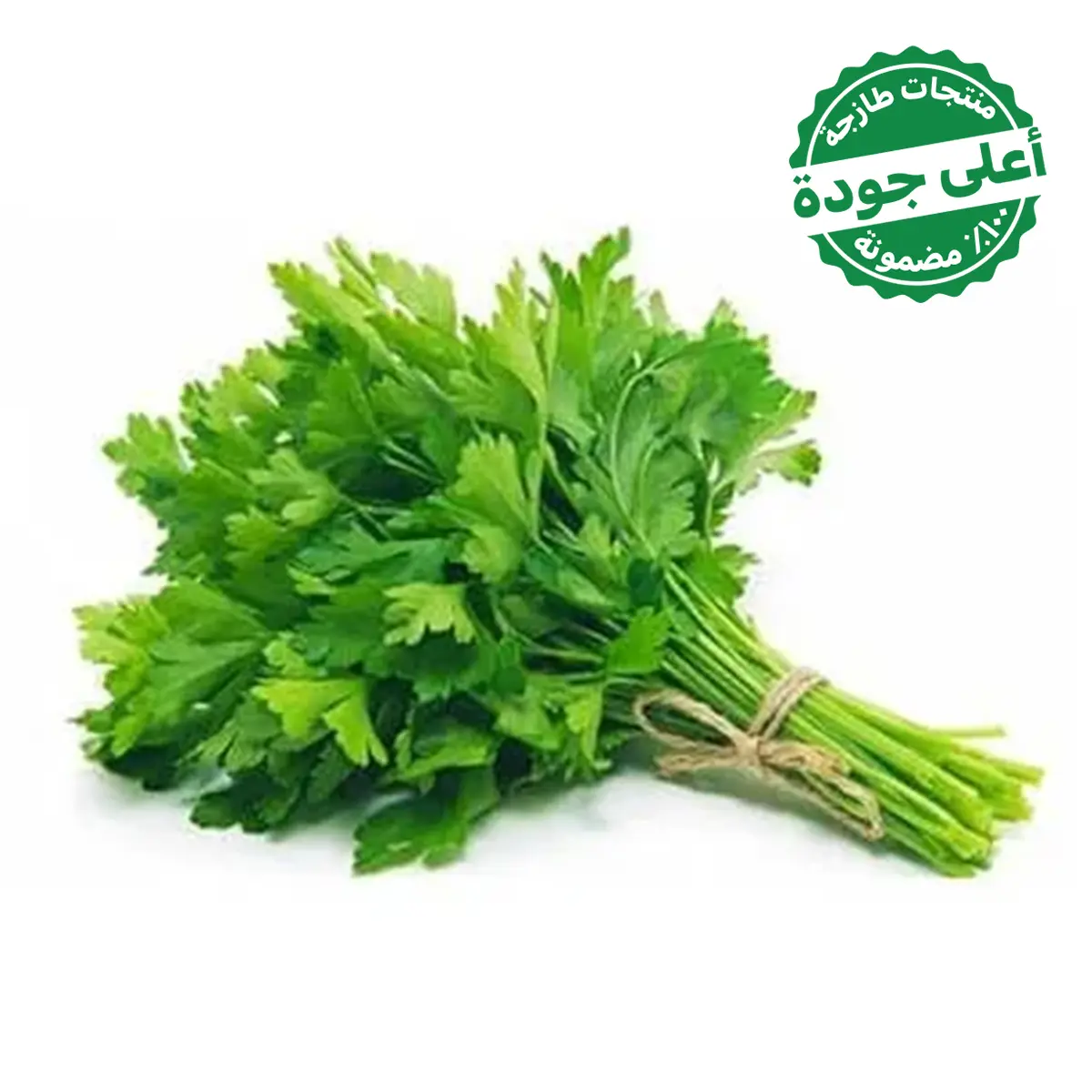 Parsley Local 1 Bundle  - view 1
