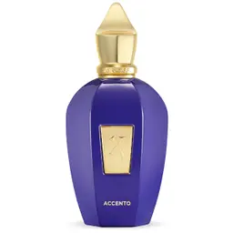 Xerjoff Accento For Men EDP 100 ml
