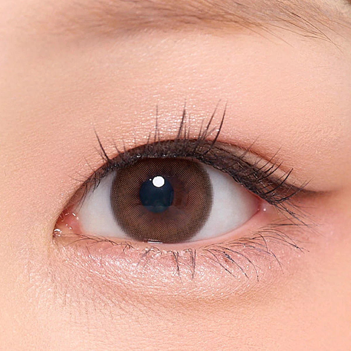 Lensme Korea Style Contact Lenses Flick