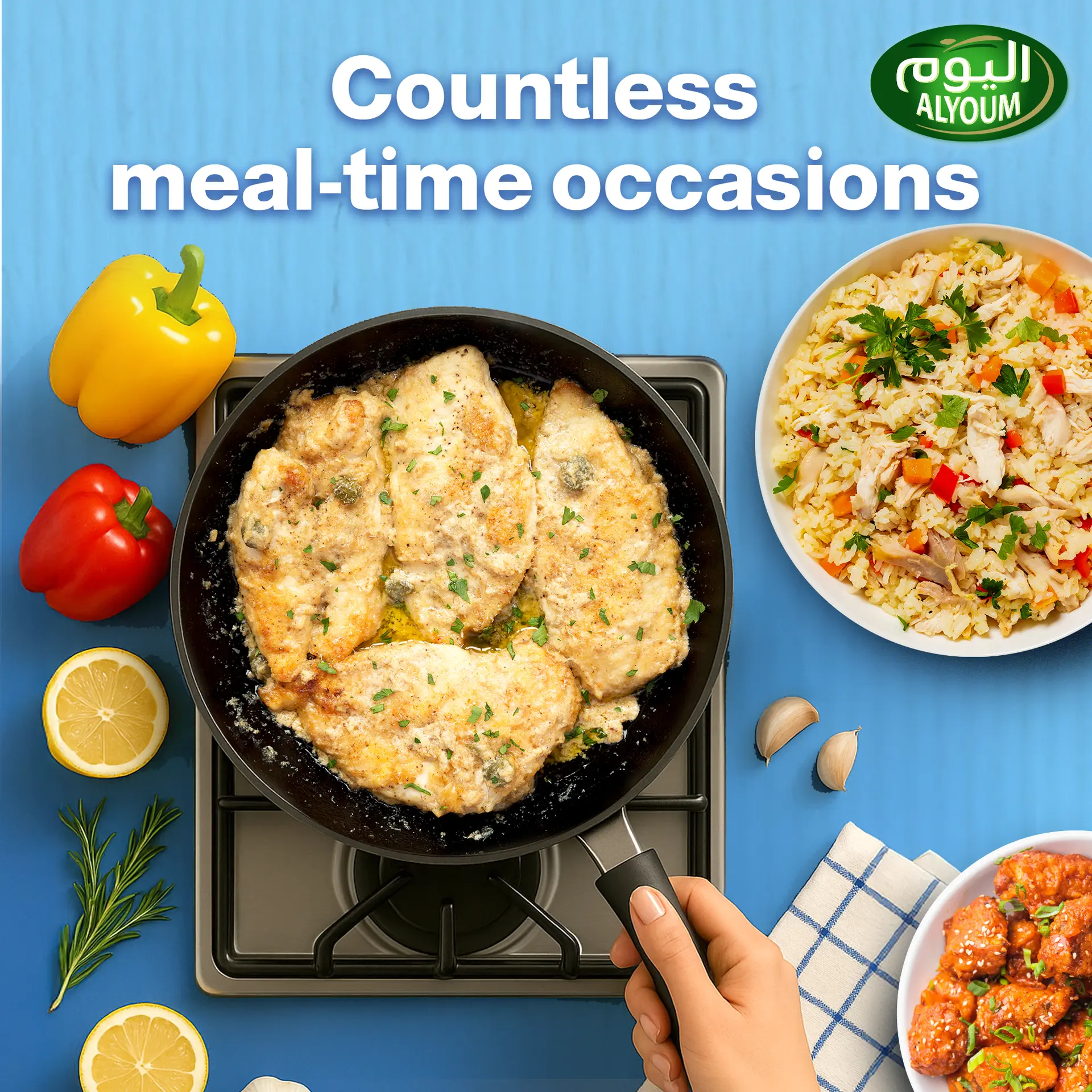 Alyoum Chicken Breast Fillet 450 gm - view 4