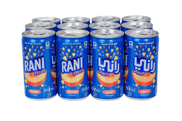 Rani Float Peach Fruit Drink 180MIX12