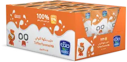 Nadec Toffee Flavored Milk 125MlX18