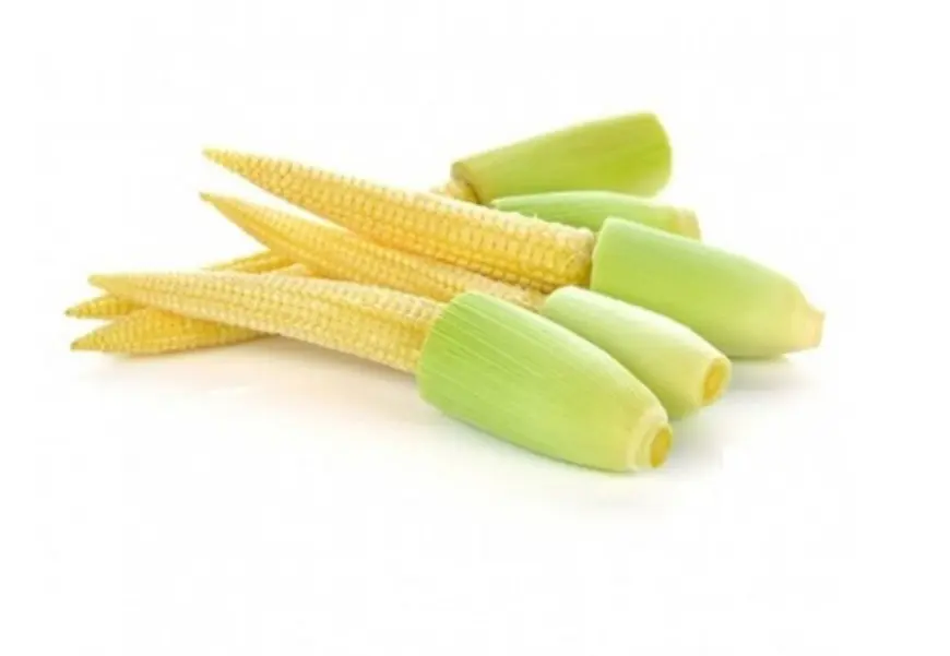 Thai Baby Corn 150 gm - view 1