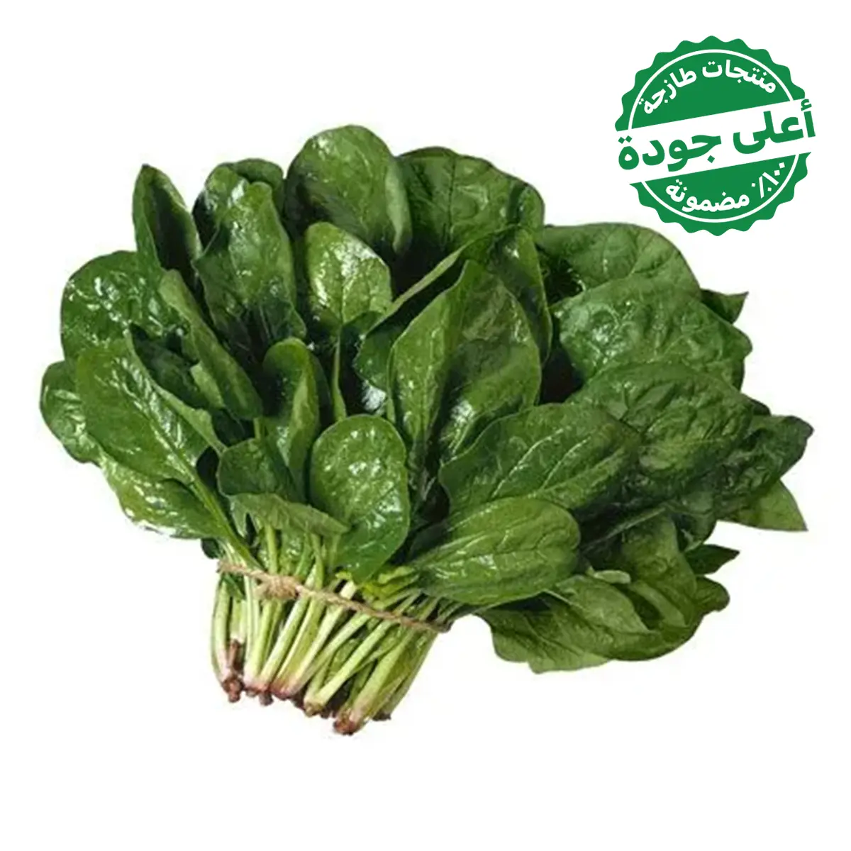 Spinach Local 1 Bundle  - view 1