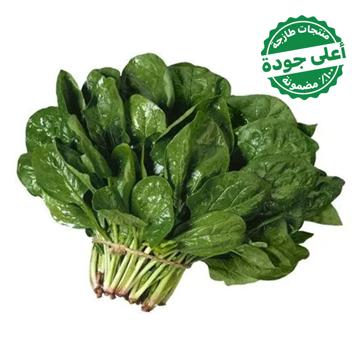 Spinach Local 1 Bundle 