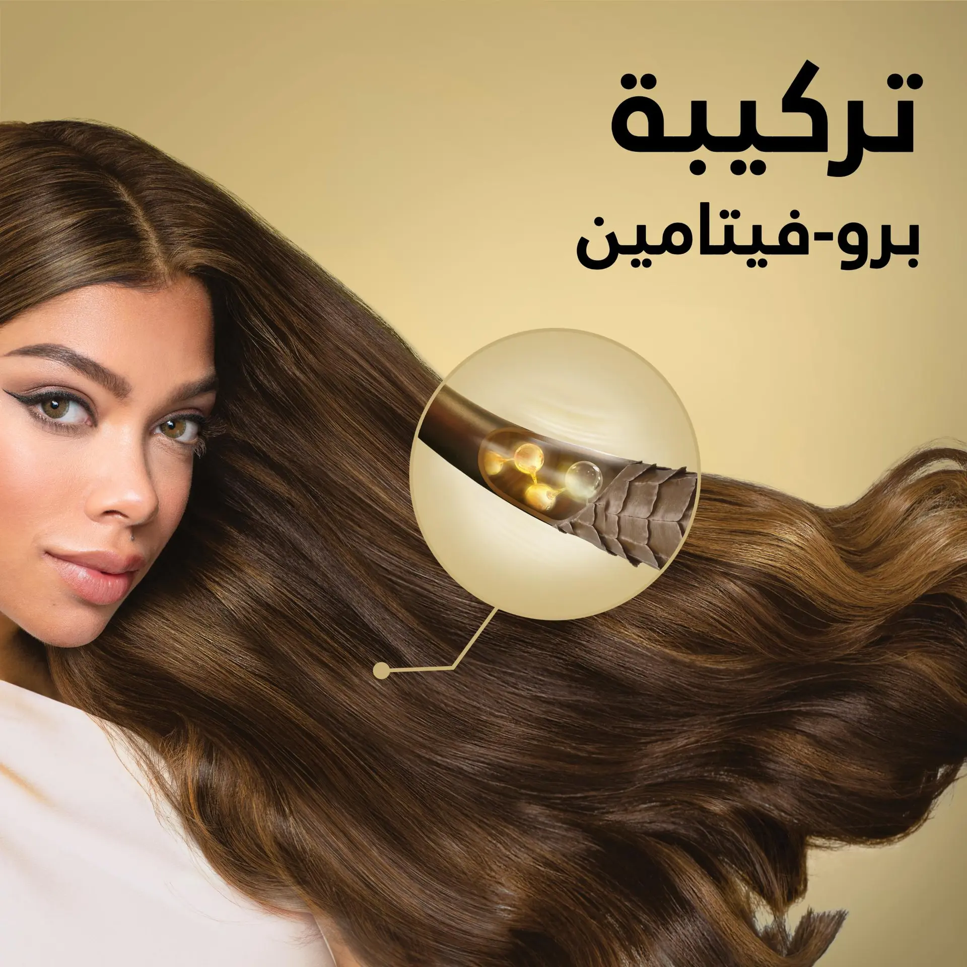 بانتين برو-في شامبو عناية ملكي للتلف يساعد على ترميم التلف ويحمي من التقصف 500 مل - view 6