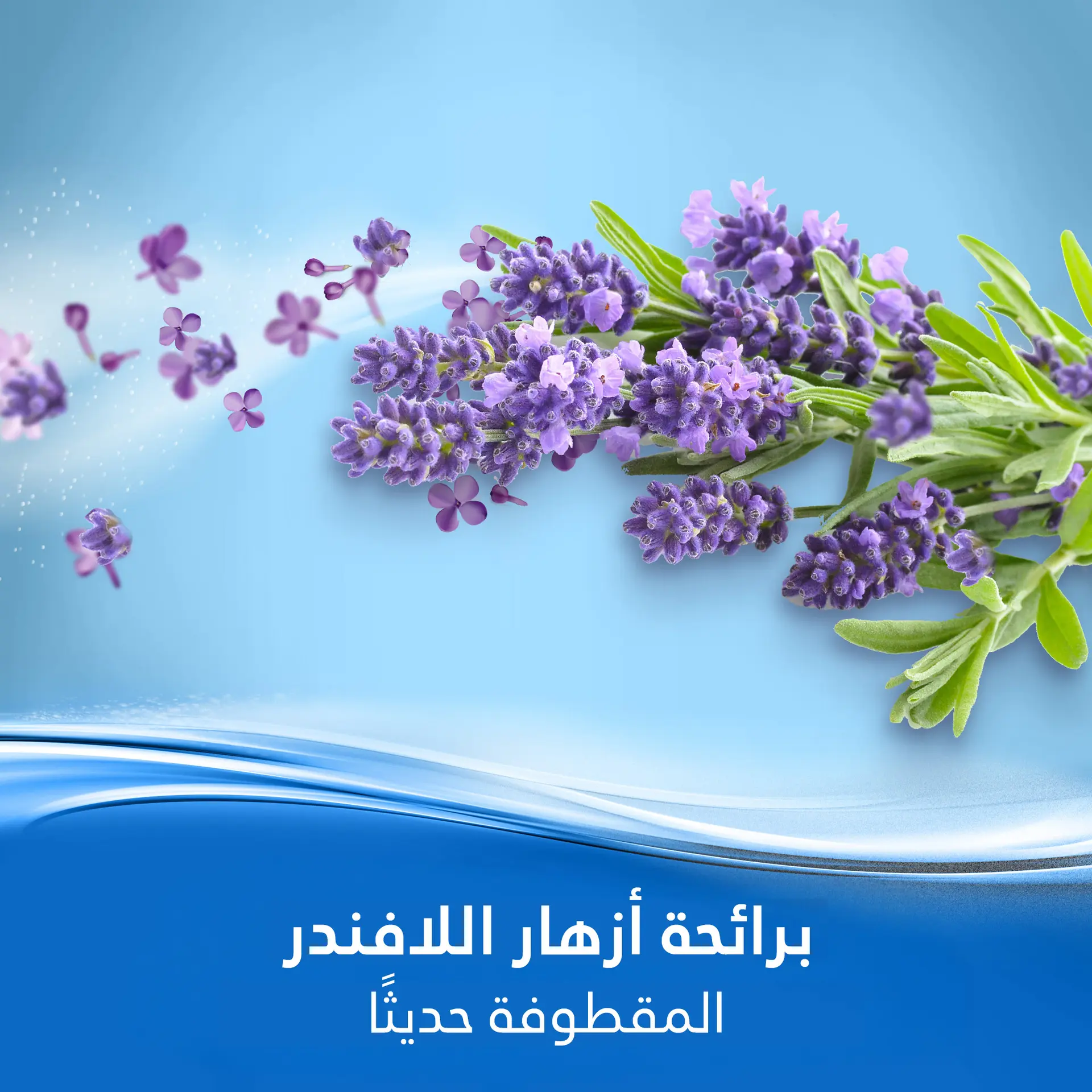 Febreze Lavender Air Freshener Spray 185 ml - view 6