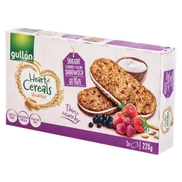 جولن بسكوت الشوفان والحبوب بقطع الفواكة والكريمة 220جم