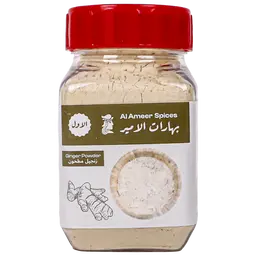 Al Ameer Ginger Powder 90 gm