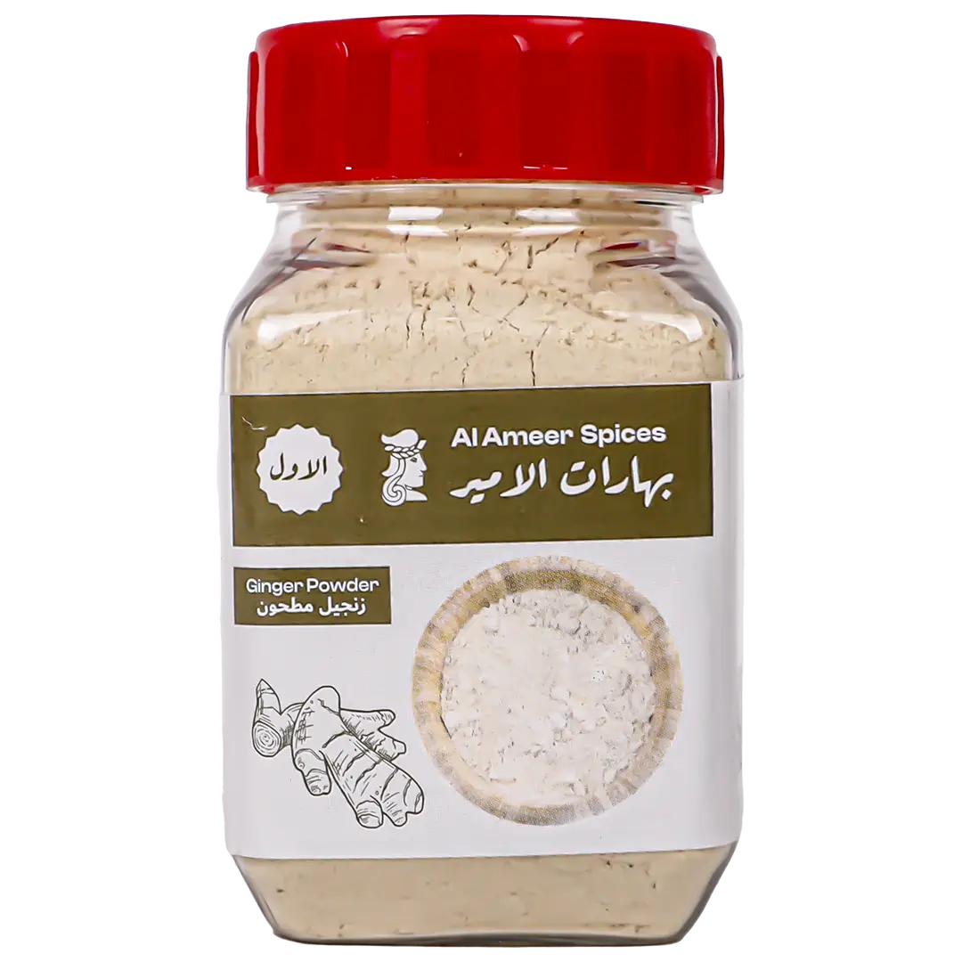 Al Ameer Ginger Powder 90 gm - view 1