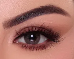 فريش ايز صن رايزعدسات لاصقة يومية 